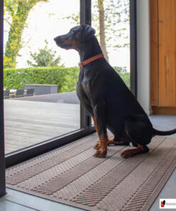 Hundematte-foto